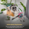 image:imageHuxley amp Kent Pet Pinwheel  Buffalo amp Snow Small  Christmas Holiday Collar Accessory for DogsCats  Bow Collar Attachment  Cute Comfortable Accessory  HampK Pinwheel for PetsUgly Sweater