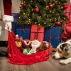 image:imageHuxley amp Kent Slappies for Dogs  Plaidington Bear Large  Christmas Holiday Dog Toy  Squeak amp Shake Dog Toy  No Stuff Tummy with Squeaky TPR Ball in HeadPlaidington Bear